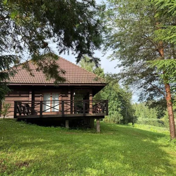Holiday house Medņusala，位于Mālpils的酒店