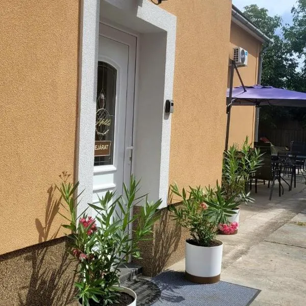 Megyeház Apartman，位于毛科的酒店