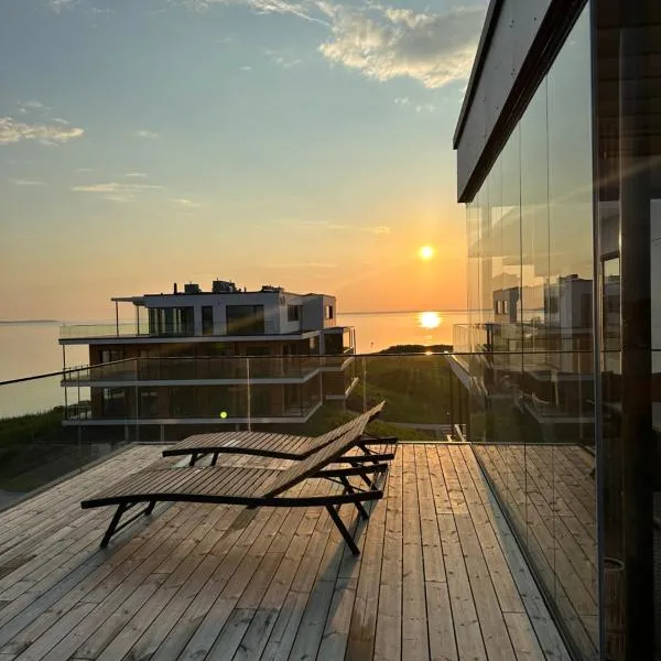 Luxurious Seaside Penthouse，位于哈普萨卢的酒店