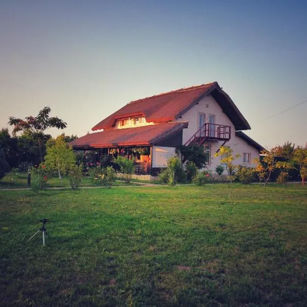 Pensiunea Andra，位于茹里洛夫卡的酒店