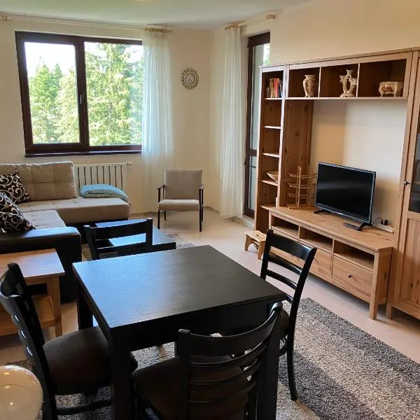 Borovets Gardens apartment C-43，位于波罗维茨的酒店