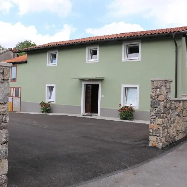 Apartmaji Lukovi，位于Obrov的酒店