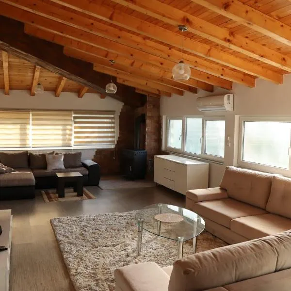 Apartments-Asquiro，位于Raskršće的酒店