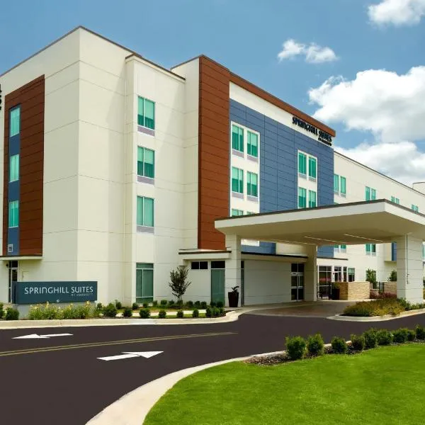 SpringHill Suites by Marriott Ellijay，位于埃利杰的酒店