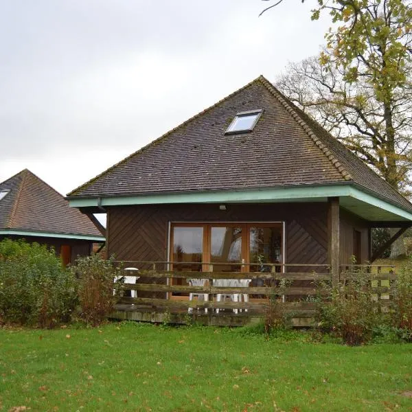 Chalet en pleine nature à Orsennes avec étang à proximité, idéal pour 6 personnes et animaux admis - FR-1-591-170，位于Orsennes的酒店