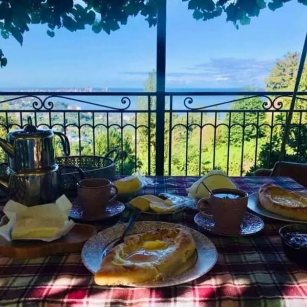 Guesthouse Mtsvane Koncxi 22，位于姆兹瓦内康茨基的酒店