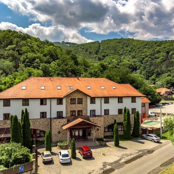 Hotel Hunor，位于沙托劳尔尧乌伊海伊的酒店