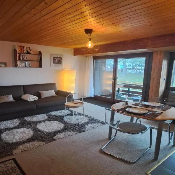 Très joli studio au centre de la station，位于安塞热的酒店