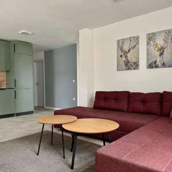 Natura Apartments，位于克拉尼的酒店