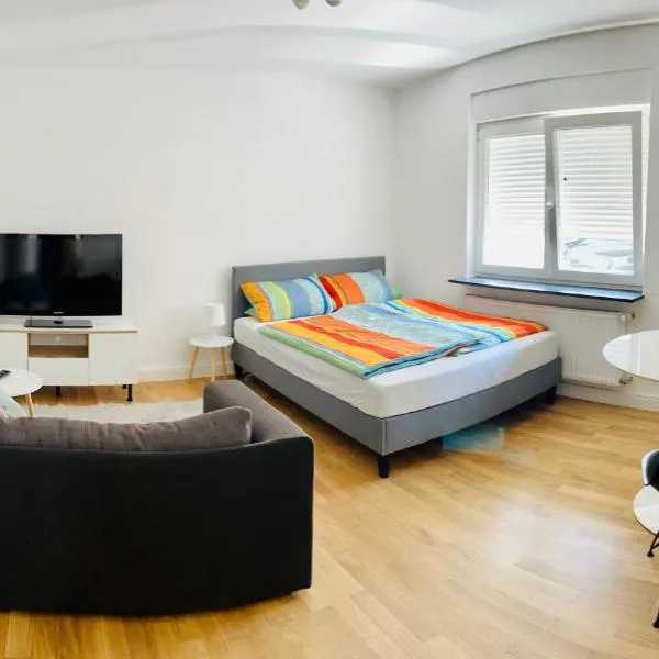 Gemütliches 1-Zimmer Appartement，位于兰根的酒店