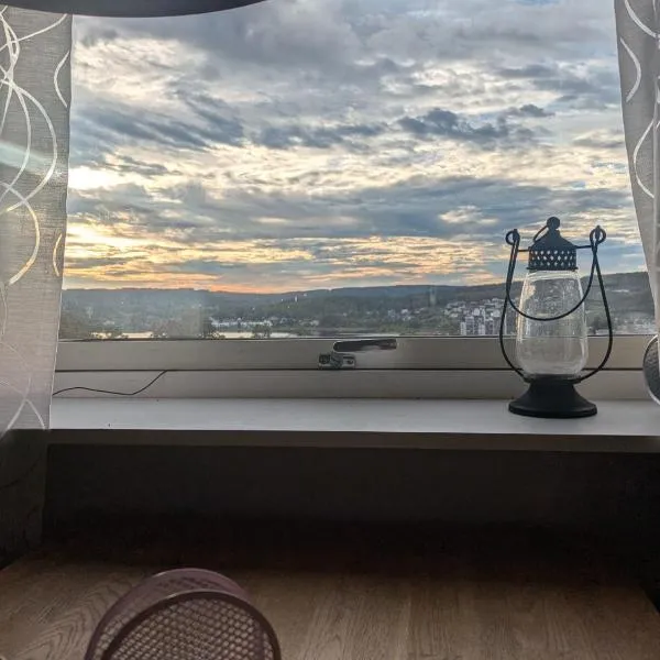 Lägenhet med utsikt över Åsunden,位于乌尔里瑟港的酒店
