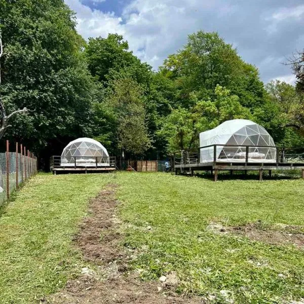 Nikorstminda glamping - Batoni's forest，位于安布罗劳里的酒店