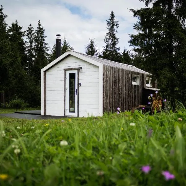 Meža namiņš Upeskrasti，位于Zosuļi的酒店