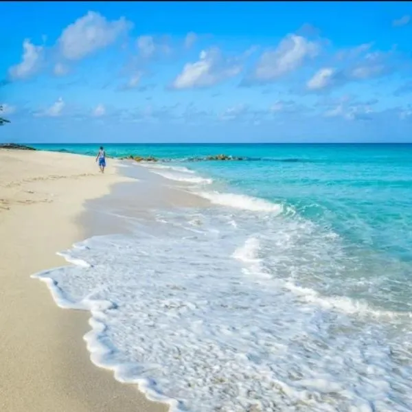 Bimini 2BR-2BA Ocean View Near Infinity Pool & Beach，位于Bailey Town的酒店