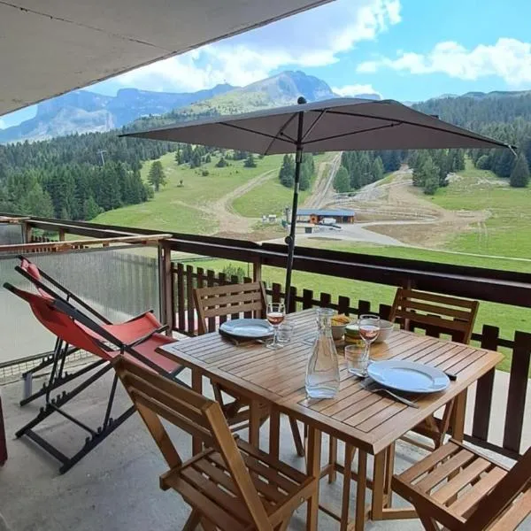 Studio Superdevoluy 4 personnes au pied des pistes，位于Superdevoluy的酒店