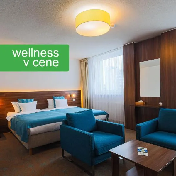Hotel Metropol WELLNESS & CONGRESS HOTEL，位于斯皮什新村的酒店