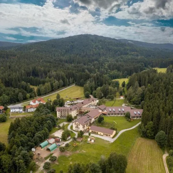 Wagners Hotel Wastlsäge，位于比绍夫斯迈斯的酒店