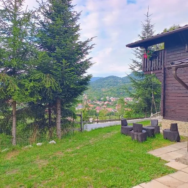 Panoramic Chalet，位于上维谢乌的酒店