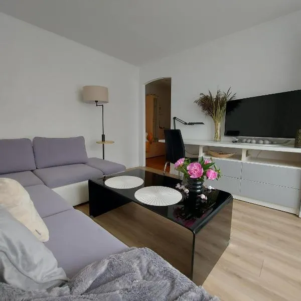 Apartment Ventspils iela 22，位于雷泽克内的酒店