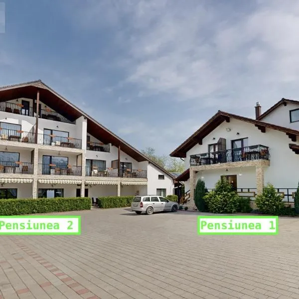 Popasul Montan - Piscina, Tenis & Vedere Munte，位于阿夫里格的酒店