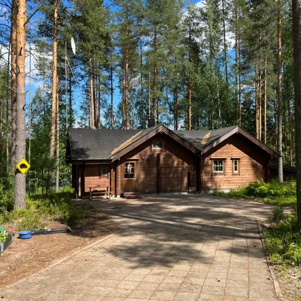 Villa Wanda，位于萨翁林纳的酒店