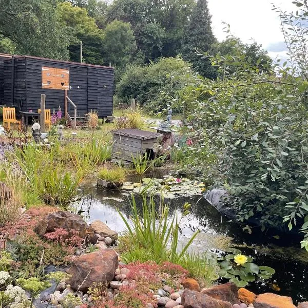 Vigo Retreat cabin 2，位于Vigo Village的酒店