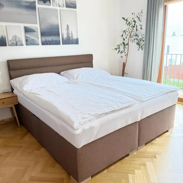 FamilyVilla, new 4 Luxury Big Apartments, parking，位于布拉格的酒店