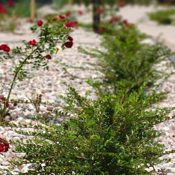 Apartament Pruszcz Park 10，位于格但斯克普鲁什奇的酒店