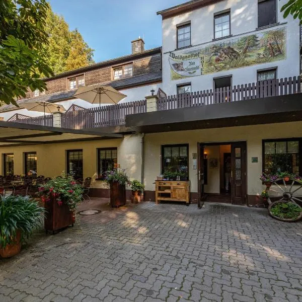 索瓦德酒店，位于Tannenberg的酒店