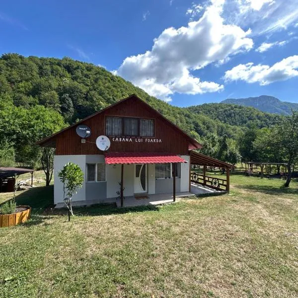Cabana lui Foardă，位于Motru Sec的酒店