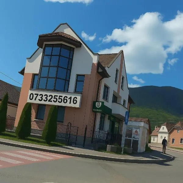 Apartment Zarnesti City Centre VMP Free Parking，位于泽尔内什蒂的酒店