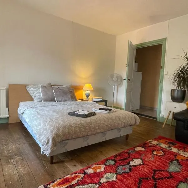 Grand studio et jolies chambres à louer，位于Passins的酒店