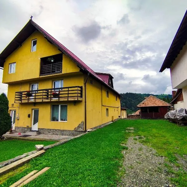 Pensiunea Buzdugan，位于莫伊西德约斯的酒店