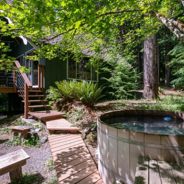 Fog & Fern Hideaway at Mount Rainier，位于阿什福德的酒店