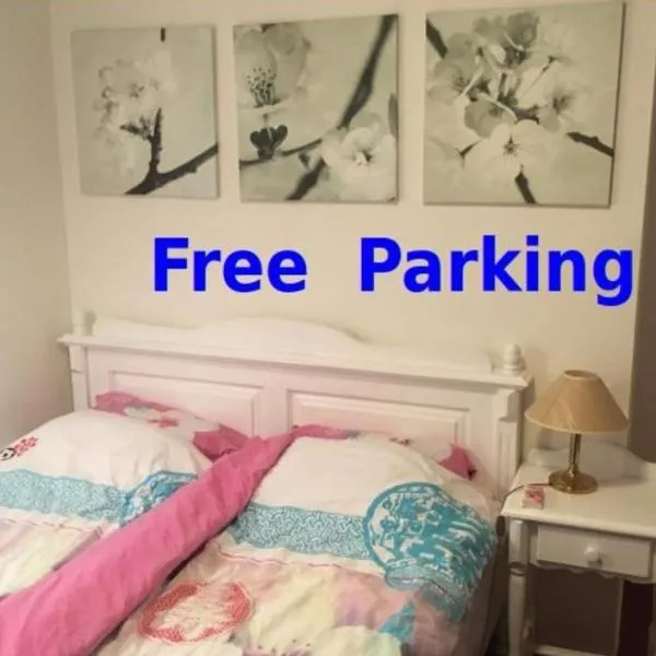 Wim's Place Schiphol Amsterdam Airport，位于霍夫多普的酒店