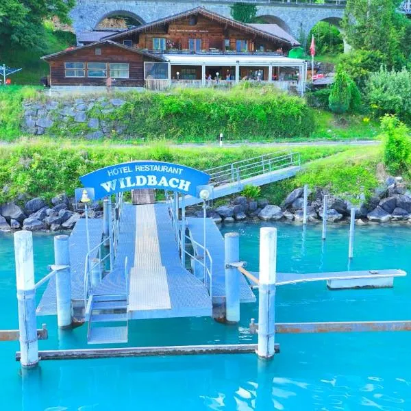 Hotel Wildbach Brienz，位于布里恩茨的酒店