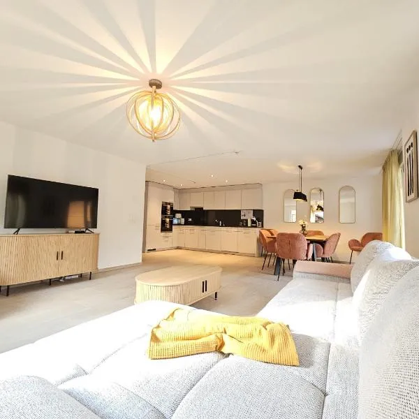 Habibi Apartment - Aare Jungfrau AG，位于维尔德斯韦尔的酒店