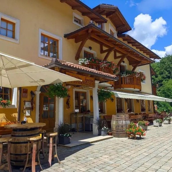 Farm Stay Peternelj，位于伊利尔斯卡比斯特里察的酒店