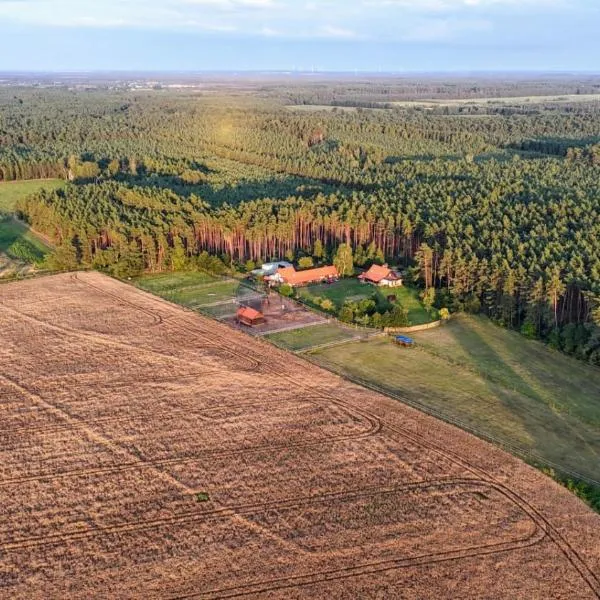Nocleg na skraju puszczy，位于Ludomy的酒店