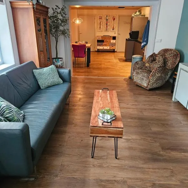 SecondHandRose，位于Sprang的酒店