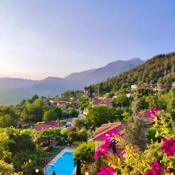 Guesthouse Anthoula，位于Derviziana的酒店