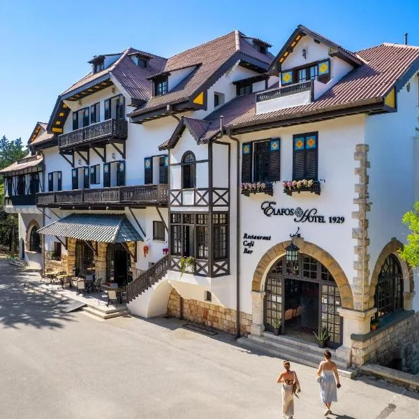 厄拉佛斯酒店，位于Sálakos的酒店