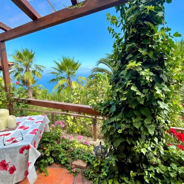 Finca Tenerife - Cozy Studio mit Traumblick & tropischem Garten，位于伊科德洛斯维诺斯的酒店