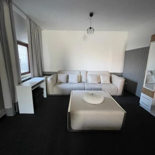 Studio Rm Vâlcea，位于拉姆尼库沃尔恰的酒店