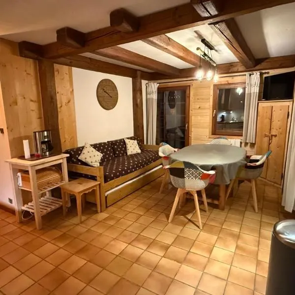 Appartement clos du linga pieds des pistes du LINGA,位于沙泰勒的酒店