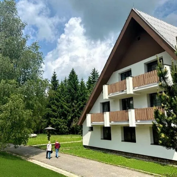 Hotel Horník，位于达那撒扎乌的酒店