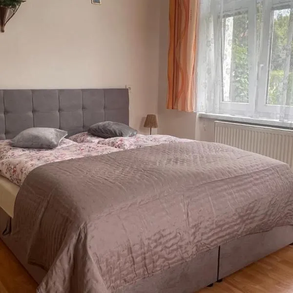 Vila u Šebestů - apartmány Volary，位于沃拉里的酒店