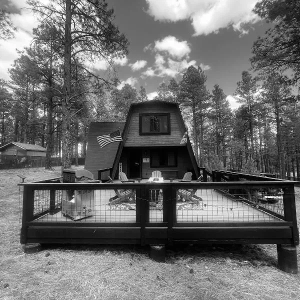 Grand Canyon Cabin! One hour and 10 minutes to the South Entrance!，位于威廉姆斯的酒店