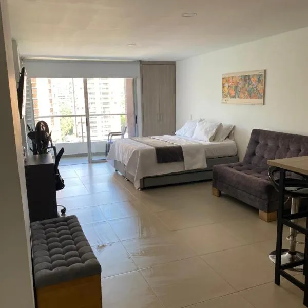Acogedor y cómodo apartamento，位于萨瓦内塔的酒店
