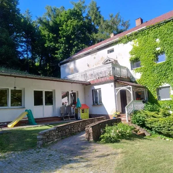 Villa Górski Spokój，位于斯雷布纳古拉的酒店